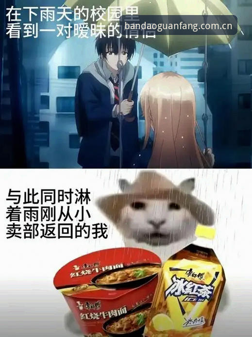 黑泽汀的球道还没修剪完最后一刀，社交媒体上已经吵翻了天。大多数人只盯着内莉·科达能否拿下三连冠，却忽略了一个更实际的问题：这场比赛的数据，你到底会不会看？